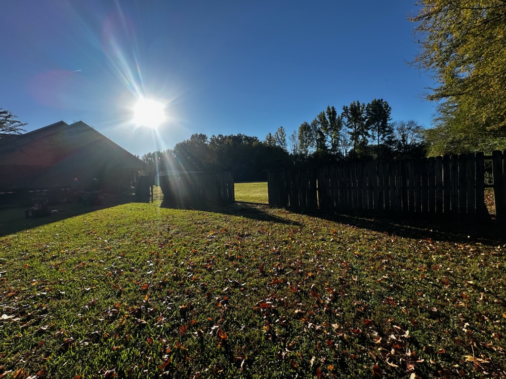 Finished wood fence in the backyard